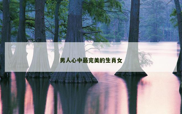 男人心中最完美的生肖女