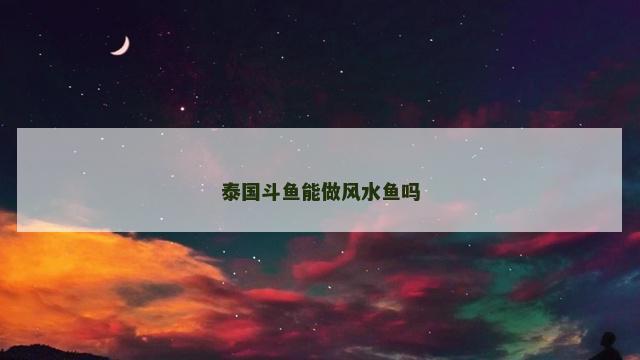 泰国斗鱼能做风水鱼吗