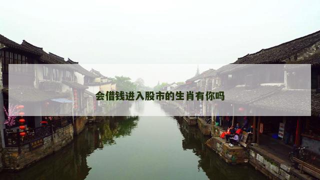 会借钱进入股市的生肖有你吗