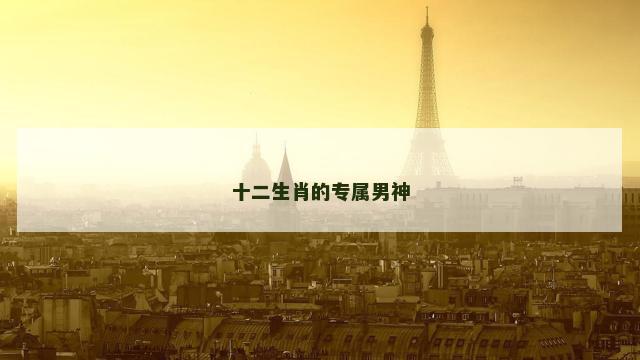 十二生肖的专属男神