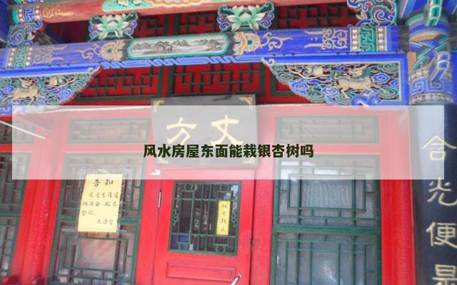 风水房屋东面能栽银杏树吗