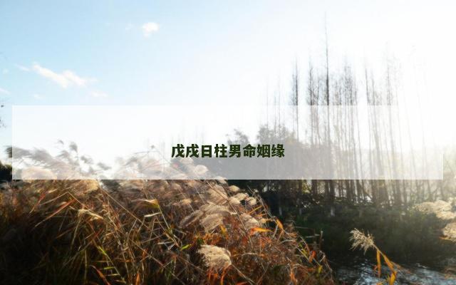 戊戌日柱男命姻缘