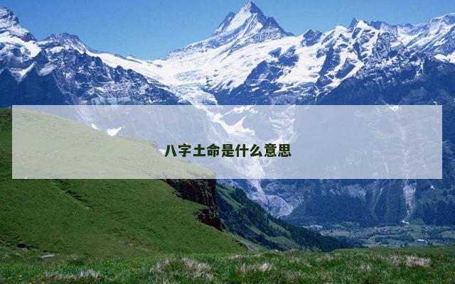 八字土命是什么意思