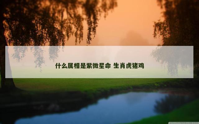 什么属相是紫微星命 生肖虎猪鸡