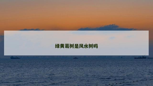 绿黄葛树是风水树吗