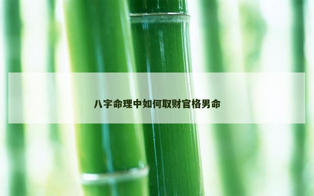 八字命理中如何取财官格男命