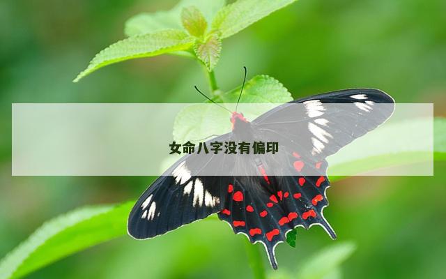 女命八字没有偏印