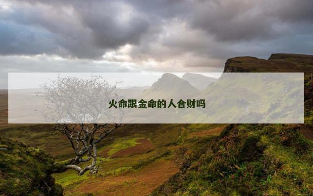 火命跟金命的人合财吗