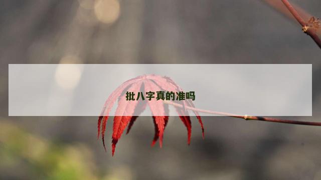批八字真的准吗