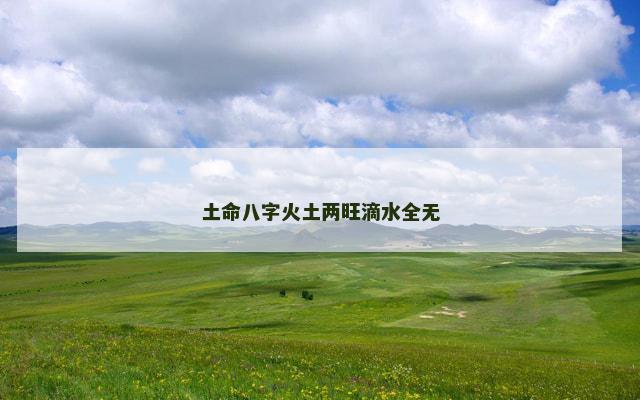 土命八字火土两旺滴水全无