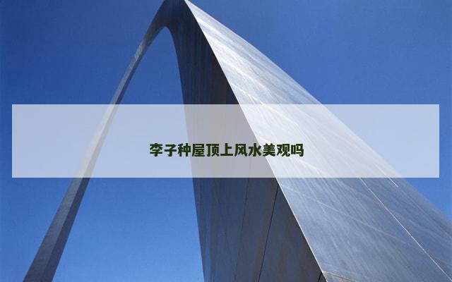 李子种屋顶上风水美观吗