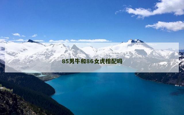 85男牛和86女虎相配吗