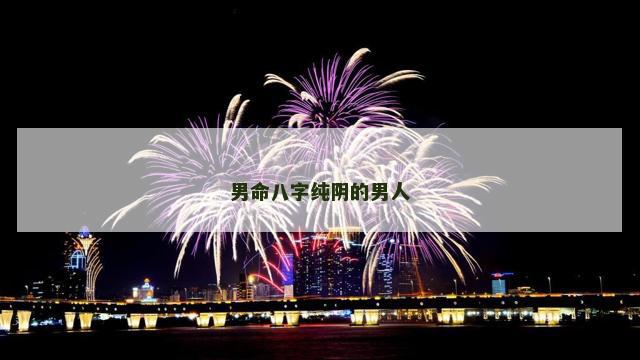 男命八字纯阴的男人