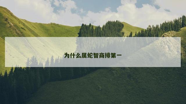 为什么属蛇智商排第一　
