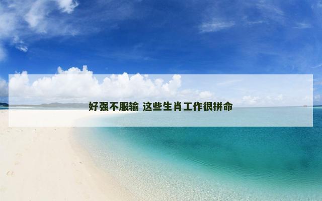 好强不服输 这些生肖工作很拼命