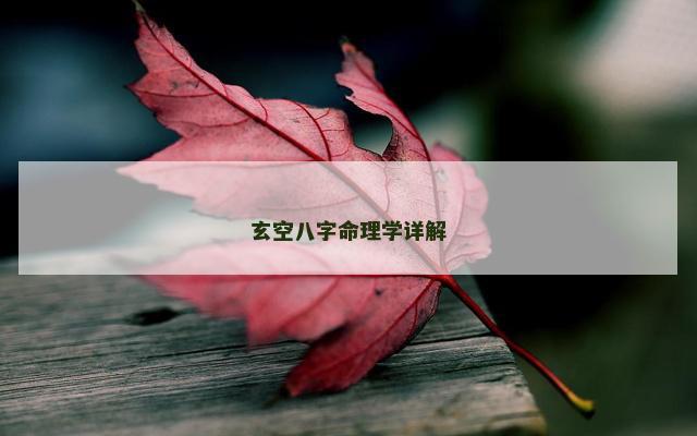 玄空八字命理学详解