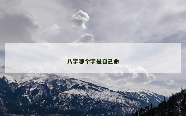 八字哪个字是自己命