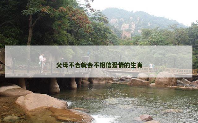 父母不合就会不相信爱情的生肖