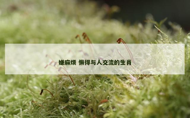 嫌麻烦 懒得与人交流的生肖