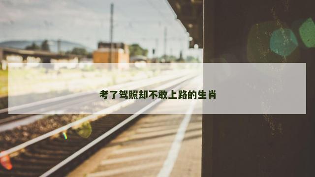 考了驾照却不敢上路的生肖