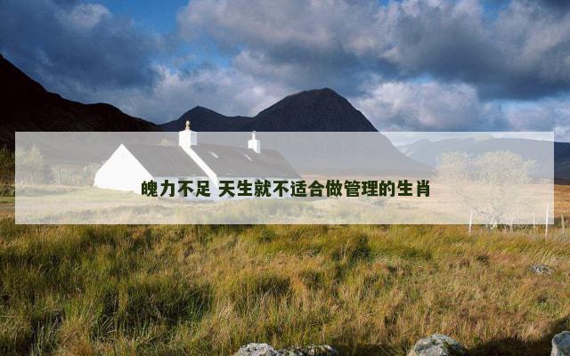 魄力不足 天生就不适合做管理的生肖