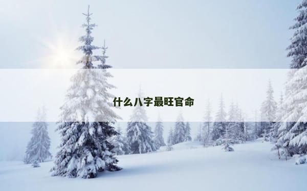 什么八字最旺官命