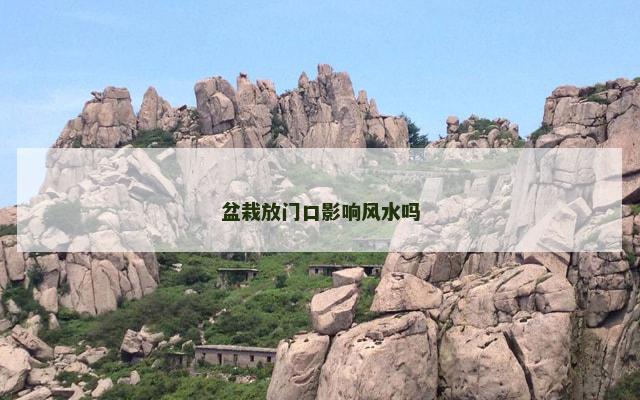 盆栽放门口影响风水吗