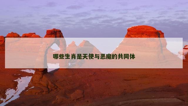哪些生肖是天使与恶魔的共同体