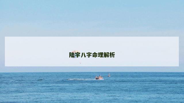 陆宇八字命理解析