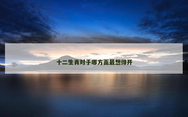 十二生肖对于哪方面最想得开