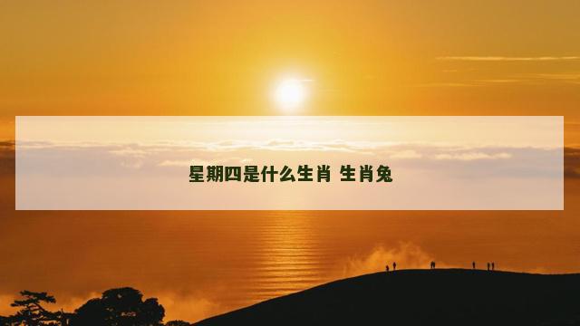 星期四是什么生肖 生肖兔