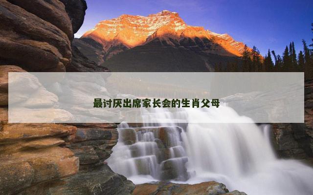 最讨厌出席家长会的生肖父母
