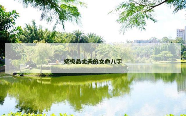 嫁极品丈夫的女命八字