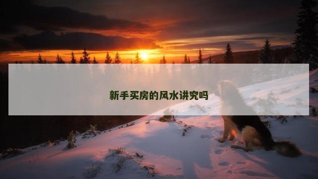 新手买房的风水讲究吗