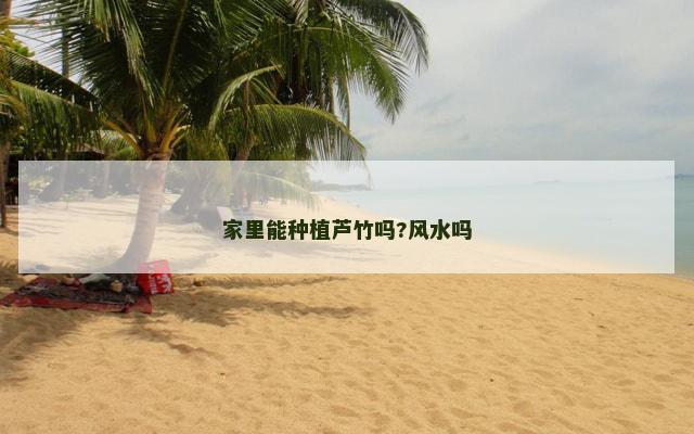家里能种植芦竹吗?风水吗