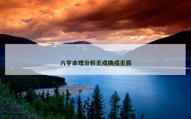 八字命理分析壬戌庚戌壬辰
