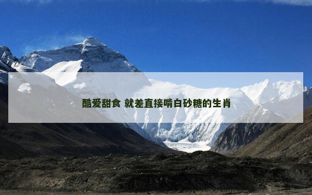酷爱甜食 就差直接啃白砂糖的生肖