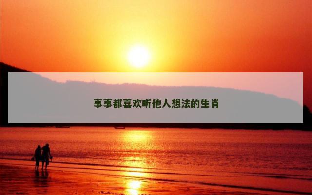 事事都喜欢听他人想法的生肖