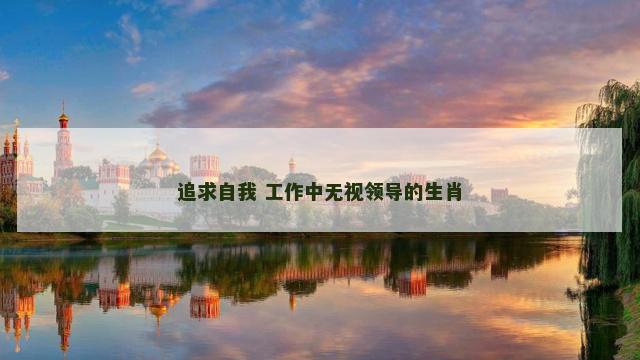 追求自我 工作中无视领导的生肖