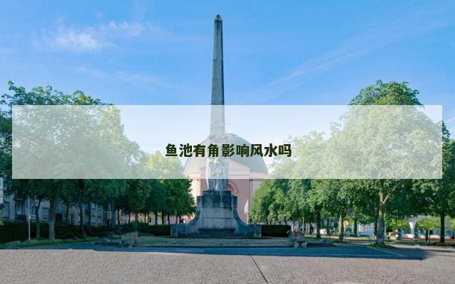 鱼池有角影响风水吗