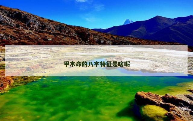 甲木命的八字特征是啥呢