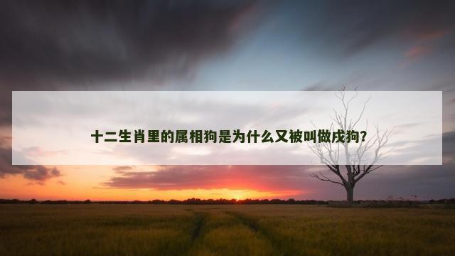十二生肖里的属相狗是为什么又被叫做戌狗？