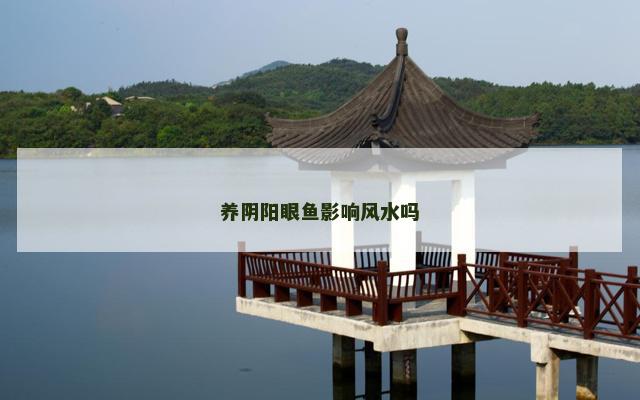 养阴阳眼鱼影响风水吗