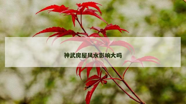 神武房屋风水影响大吗