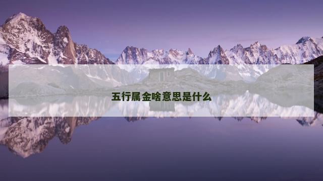 五行属金啥意思是什么
