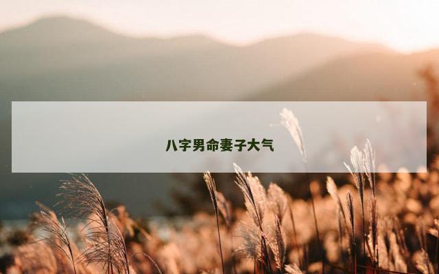 八字男命妻子大气