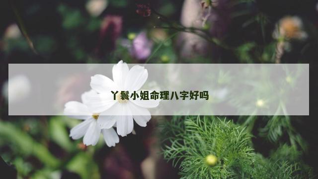 丫鬟小姐命理八字好吗