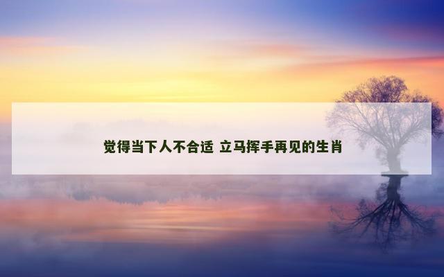 觉得当下人不合适 立马挥手再见的生肖
