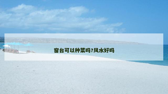 窗台可以种菜吗?风水好吗