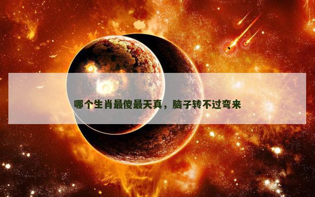 哪个生肖最傻最天真，脑子转不过弯来